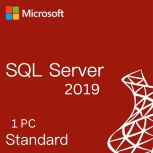 Microsoft SQL Server 2019 Standard - 1 PC - Retail Online