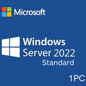 Windows Server 2022 Standard - 1  PC